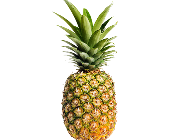 Fresh Pineapple Fruit