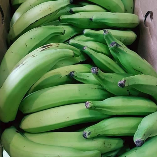 Fruit Banana Plantain Fresh