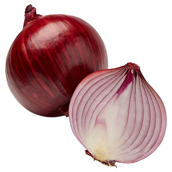 Red Fresh Onion Vegetable