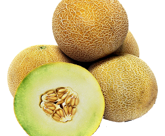 fresh sweet melon