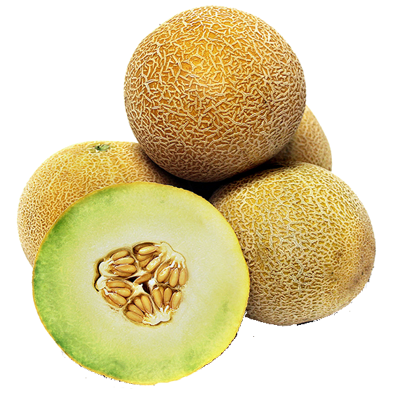 fresh sweet melon