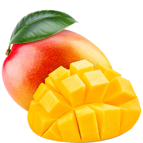 Organic Fresh Mango Fruit