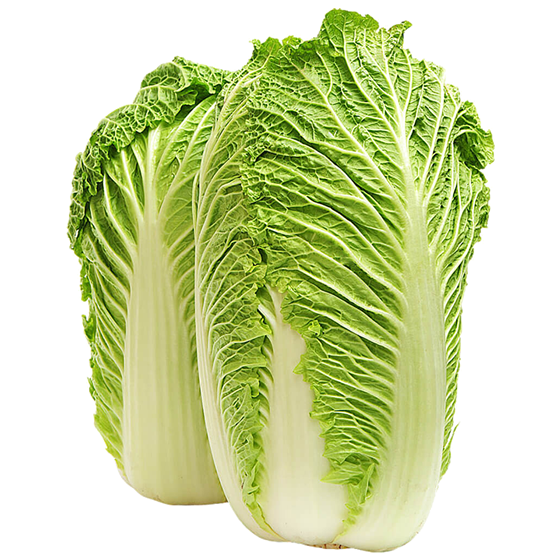 Vegetable Cabbage Chinese Fresh