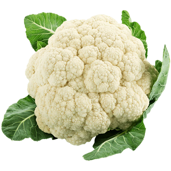Vegetable Cauliflower Fresh