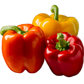 1. Discover the vibrant taste and health benefits of our Organic Bell Peppers, expertly cultivated and carefully source to ensure the highest quality. Packed with essential vitamins and antioxidants, these bell peppers are perfect for enhancing your meals while promoting a healthy lifestyle. Enjoy their crisp texture and sweet flavor in salads, stir-fries, or as a colorful addition to any dish. Choose our Organic Bell Peppers for a fresh, nutritious choice that supports sustainable farming practices.