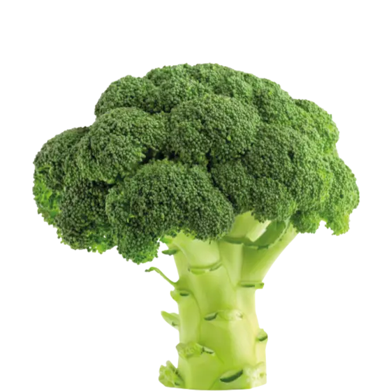 Fresh Broccoli Vegetable